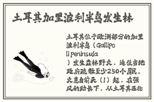 恶毒女配靠JY活命又叫什么
